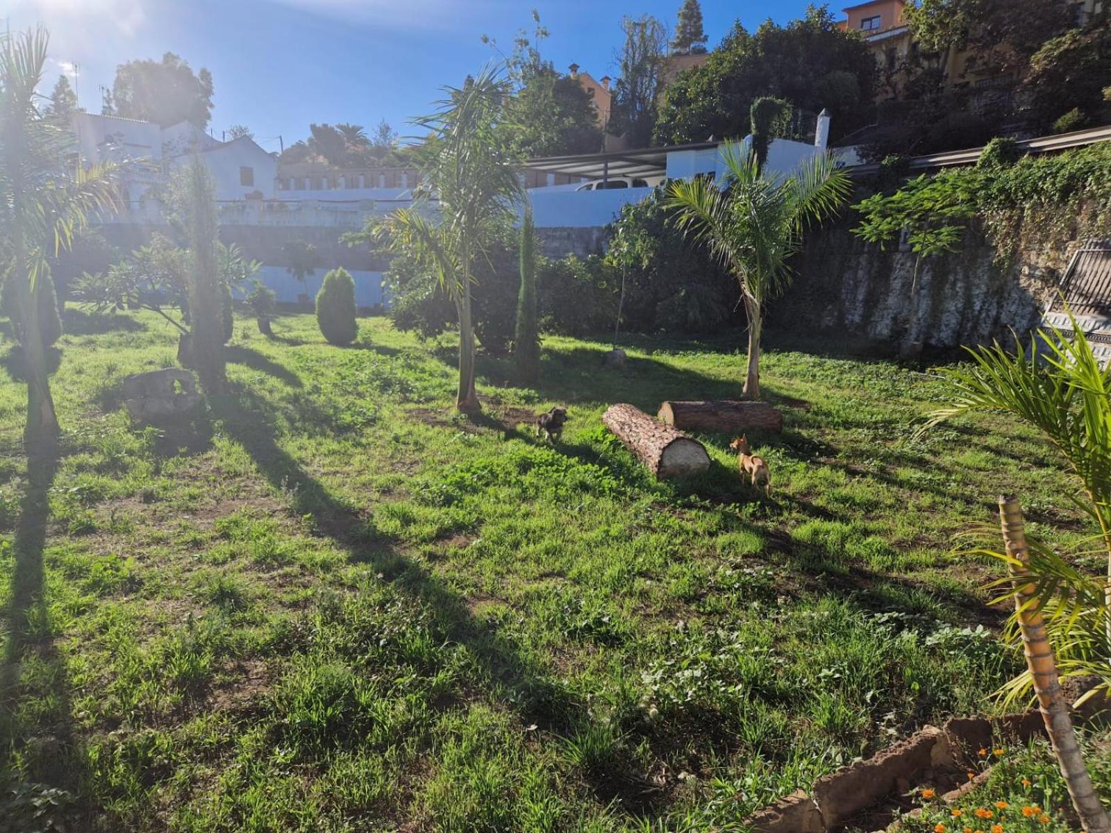 Villa Casa Con Piscina, High-Speed Wi-Fi Y Vistas Santa Brígida Esterno foto